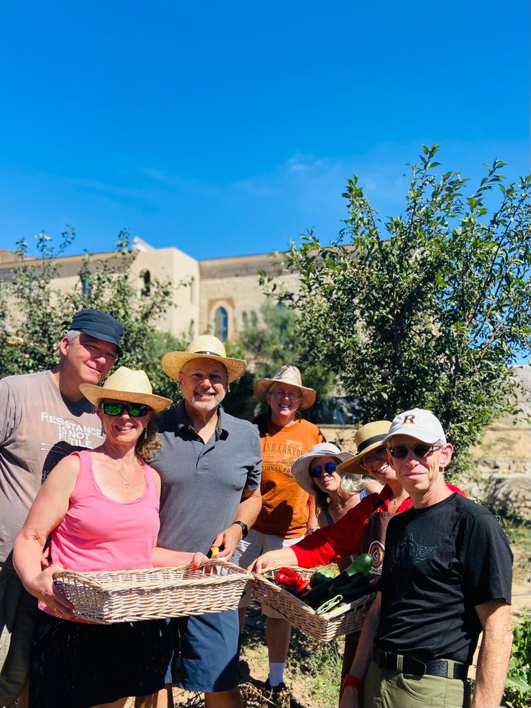 Experiência de cozinha e harmonização de vinhos