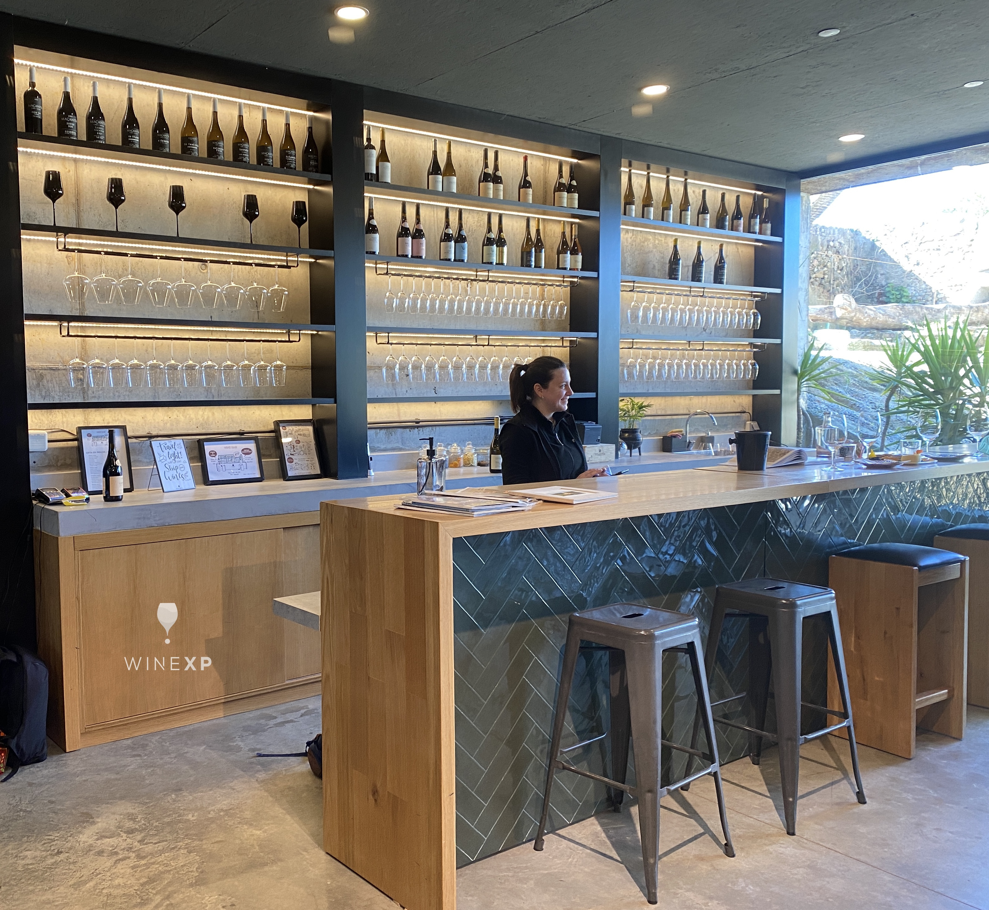 Visita e prova de vinhos Big Picture