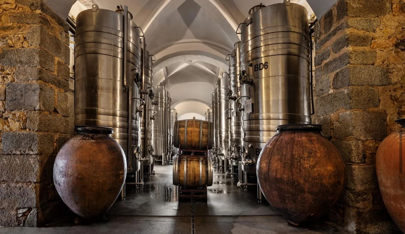 Visita e prova Master of Wine