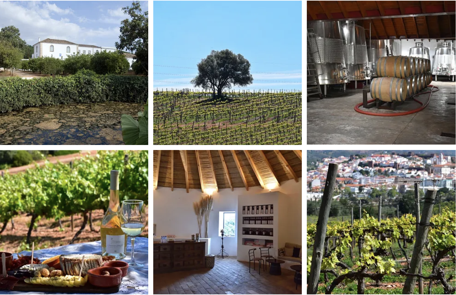 Convento do Paraiso Winery/ Quinta de Mata Mouros