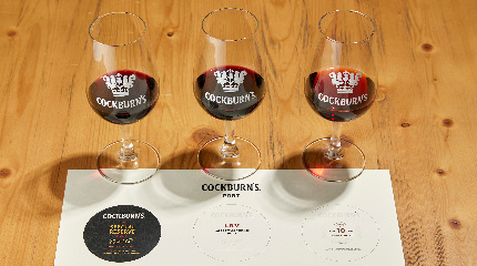 Guided Tour with Classic Tasting