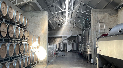 Visita à adega e prova de 3 vinhos