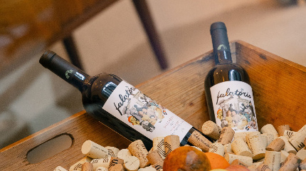 Visita à adega e prova de 5 vinhos premium