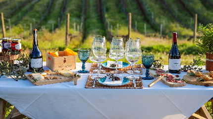 Piquenique de luxo nas vinhas