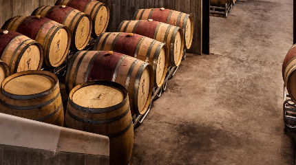 Faça o seu próprio vinho