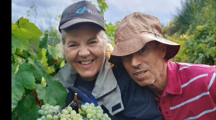 Visita e prova de 5 vinhos Feel & Soul