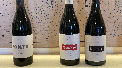 Vineyard and winery visit & 5 wine tasting 