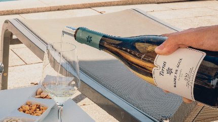 3 Wine and Cheese Tasting-groups more than 3 persons