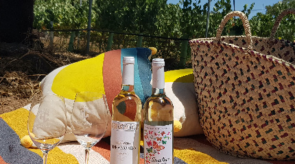 Herdade Canal Caveira picnic