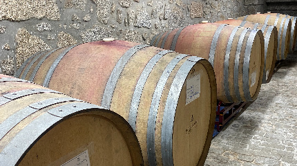 Prova de 3 vinhos e queijos