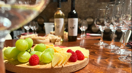 Visita à adega e prova de vinhos “Premium” com queijos  