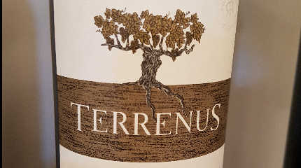 Classic Wine Tasting Terrenus