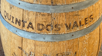 Guided Tour and Premium wine tasting  