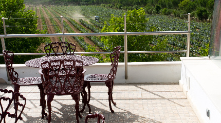 Visita e Prova de 4 Espumantes