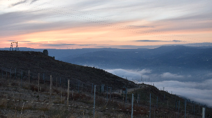 Visita e prova de 2 vinhos Feel & Soul