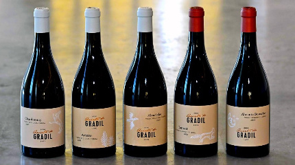 Winery Tour & Premium 5 Wine Tasting 