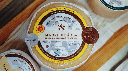 Cheese Tasting-groups more than 3 persons