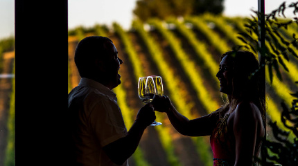 Quetzal From the Vine to the Glass 