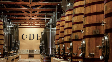 Winery Visit with the Winemaker