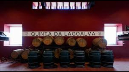 A visita da Quinta para Grupos