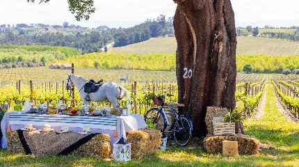 Lunch with Beira flavors by Chef Henrique Ferreiras 