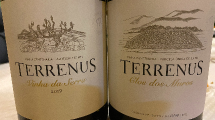 Wine Tasting of parcel /Single Vineyard wines 