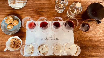 Visit and Master of Wine Tasting 