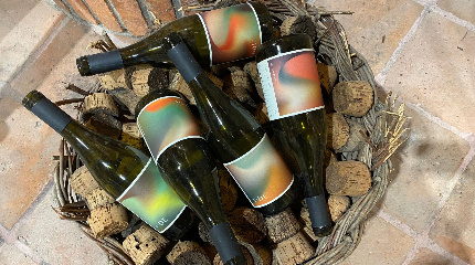 Wine Workshop Level 1 & lunch