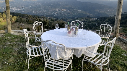 Piquenique Feel & Soul com prova de 2 vinhos