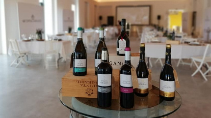 Winery Tour & 7 centuries of Harvest Wine Tasting 