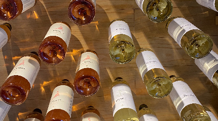 Visita à adega e prova de vinhos Selection