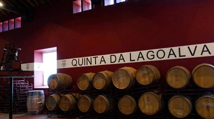 A visita da Quinta