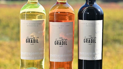  Winery Tour & 3 Wine Tasting with snacks 