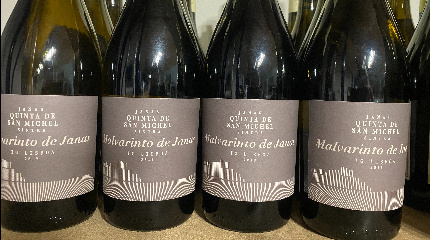 Winery Tour and 3 wine tasting 