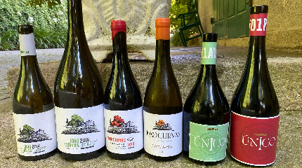 Visit and 3 wine tasting 