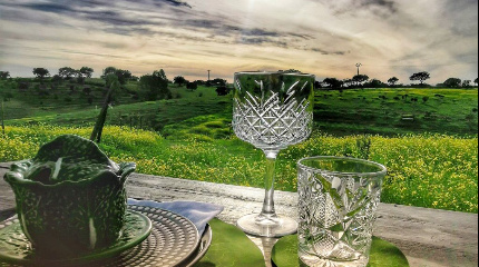 Estate Visit and Classic Tasting