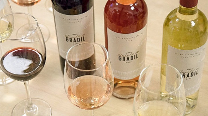 Winery Tour & Classic 3 wine tasting 