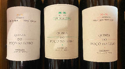 4 Wine Tasting - Quinta do Poço do Lobo  