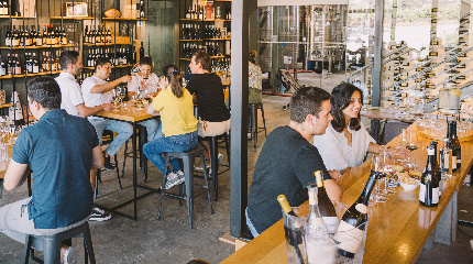 Tour and Tasting Wine Geek 