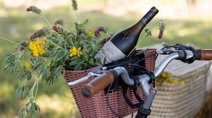 Prestige Wine tasting from 3 regions -suggested by the winemaker