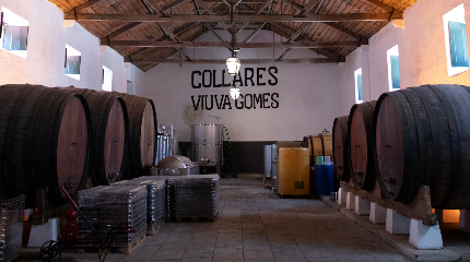 Private Winery Tour & 4 Wine Tasting for groups 