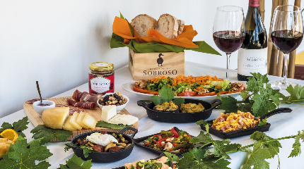Visita com 2 prova de 2 vinhos e almoço de cozinha tradicional