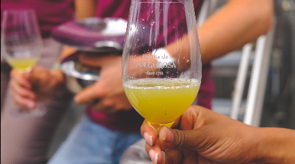 Enólogo por um dia com prova de 6 vinhos