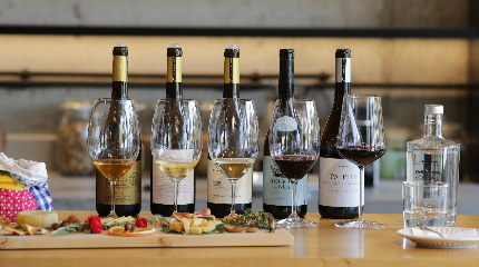 Visit and Big Picture wine tasting