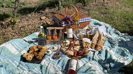 Picnic on the Estate