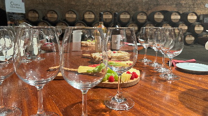 Visita & Prova de Vinhos