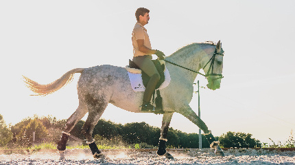 Aula de Equitação de Iniciação