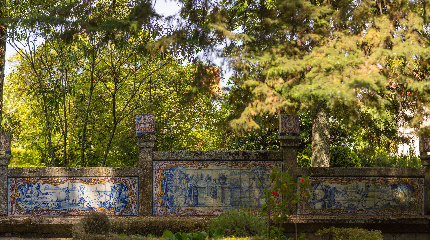 Visit to Casa de Santar and 3 Wine region tasting