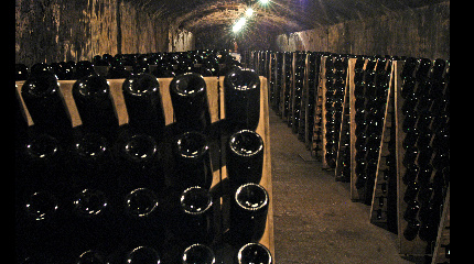 Visita Guiada e Prova de 3 Vinhos Clássicos de Lote Especial