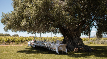 A Mesa dos Agricultores